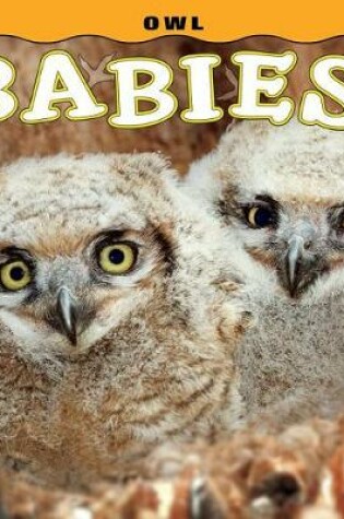 Cover of Owl Babies!