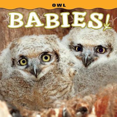 Book cover for Owl Babies!