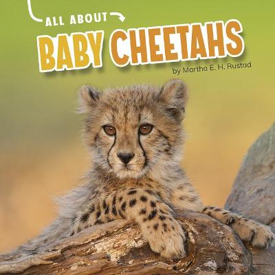 Book cover for All about Baby Cheetahs