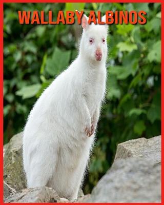 Cover of Wallaby Albinos