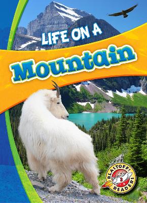 Cover of Life in a Mountain