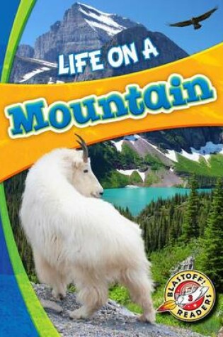 Cover of Life on a Mountain