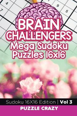 Book cover for Brain Challengers Mega Sudoku Puzzles 16x16 Vol 3