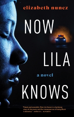 Book cover for Now Lila Knows
