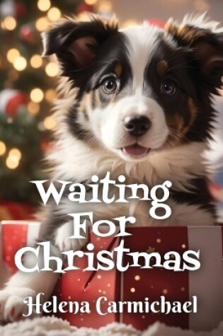 Cover of Waiting For Christmas