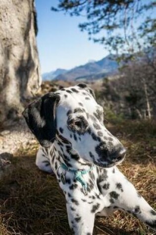 Cover of Such a Cute Dalmatian Dog Pet Journal