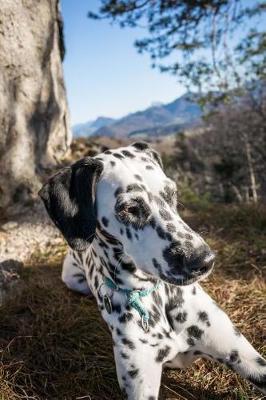 Book cover for Such a Cute Dalmatian Dog Pet Journal