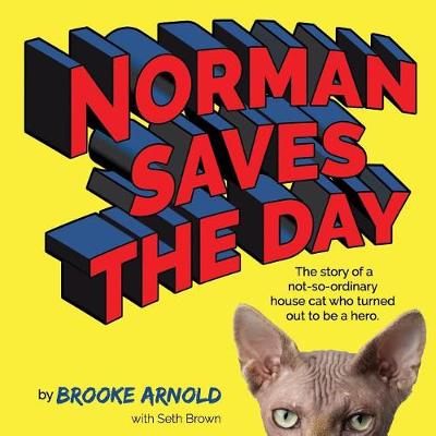 Book cover for Norman Saves the Day