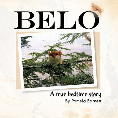 Book cover for Belo