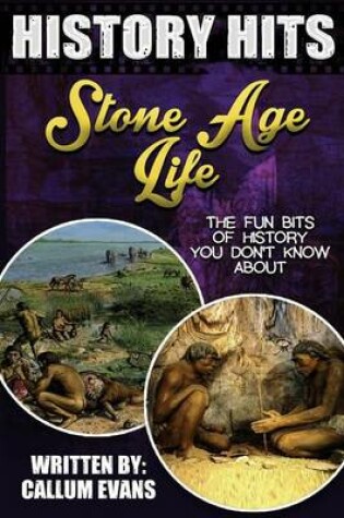 Cover of The Fun Bits of History You Don't Know about Stone Age Life