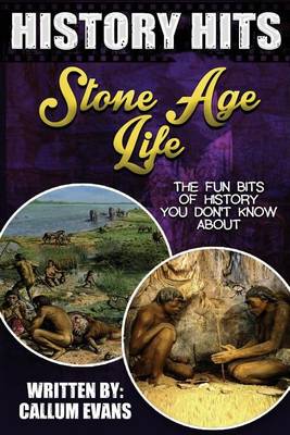 Book cover for The Fun Bits of History You Don't Know about Stone Age Life