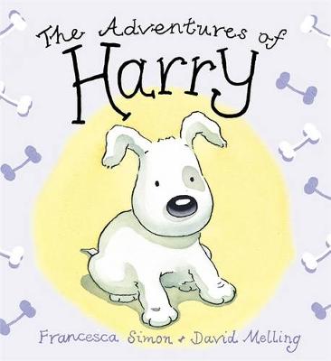 Book cover for Adventures of Harry