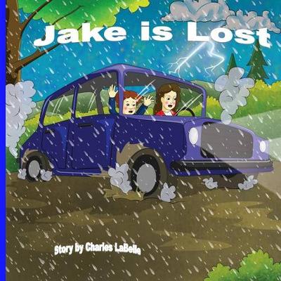 Book cover for Jake is Lost