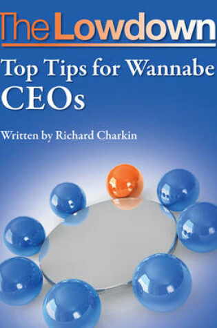 Cover of Top Tips for Wannabe CEOs