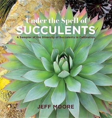 Book cover for Under the Spell of Succulents