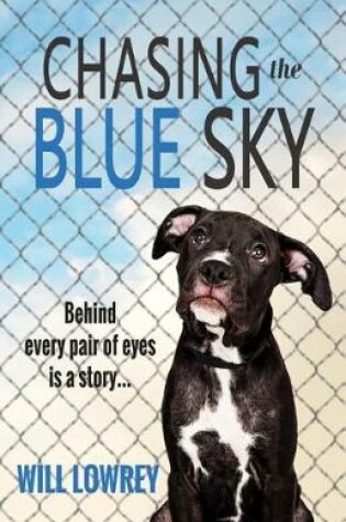 Cover of Chasing the Blue Sky