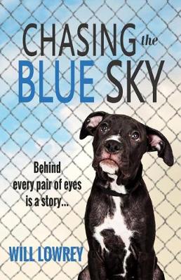 Book cover for Chasing the Blue Sky