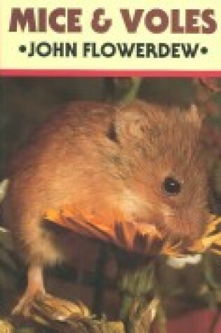 Cover of Mice and Voles