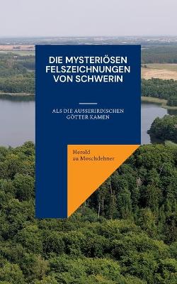 Book cover for Die mysteriösen Felszeichnungen von Schwerin