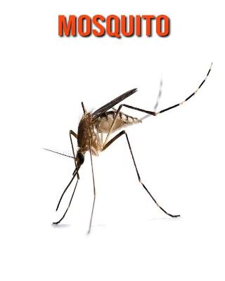 Book cover for Mosquito