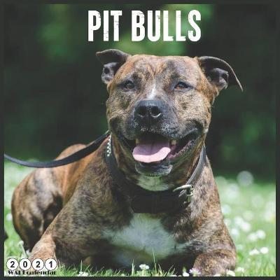 Book cover for Pit Bulls 2021 Wall Calendar