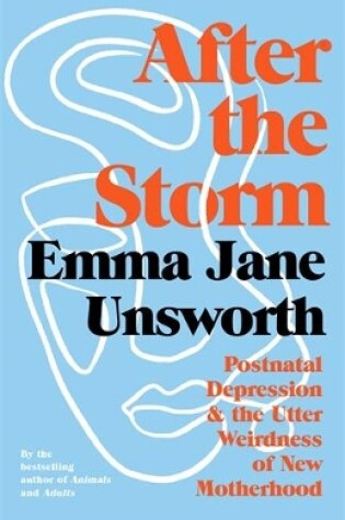 Cover of After the Storm