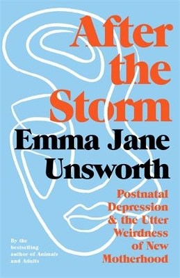 Book cover for After the Storm