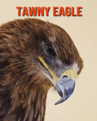 Book cover for Tawny Eagle