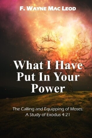 Cover of What I Have Put in Your Power