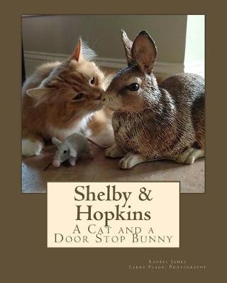 Book cover for Shelby & Hopkins