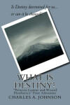 Book cover for What Is Destiny?