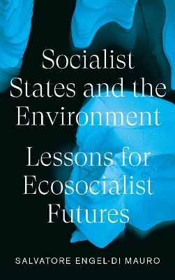 Book cover for Socialist States and the Environment