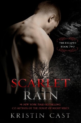 Cover of Scarlet Rain