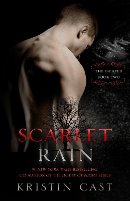 Book cover for Scarlet Rain