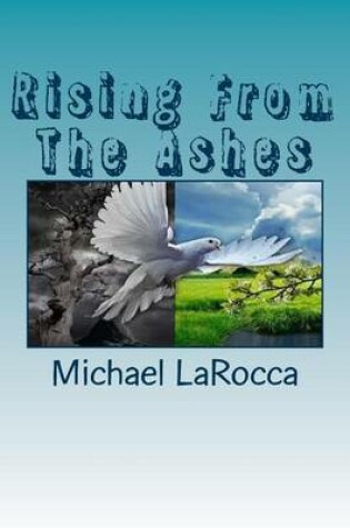 Cover of Rising From The Ashes