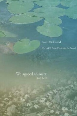 Cover of We Agreed to Meet Just Here