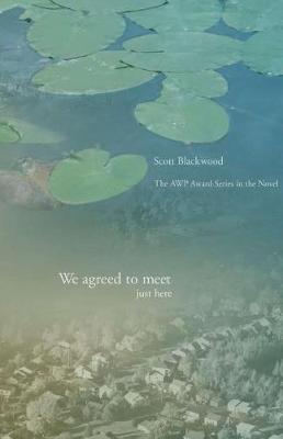 Book cover for We Agreed to Meet Just Here