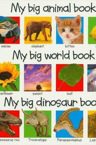 Cover of 3 in 1: My Big Animal, World, Dinosaur