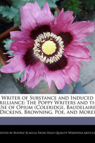 Cover of Writer of Substance and Induced Brilliance