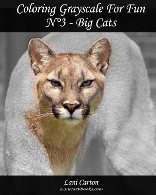 Book cover for Coloring Grayscale For Fun - N Degrees3 - Big Cats