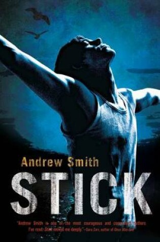 Cover of Stick