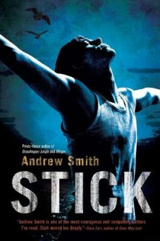 Cover of Stick