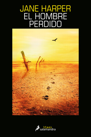 Cover of El hombre perdido / The Lost Man