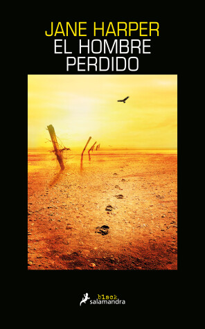 Book cover for El hombre perdido / The Lost Man