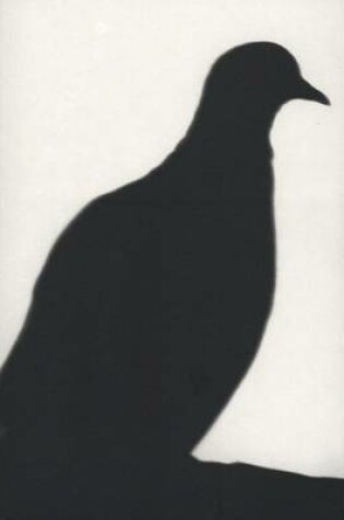 Cover of Flock