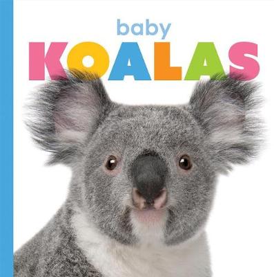 Book cover for Baby Koalas