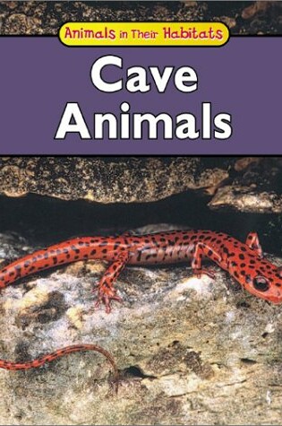 Cover of Cave Animals