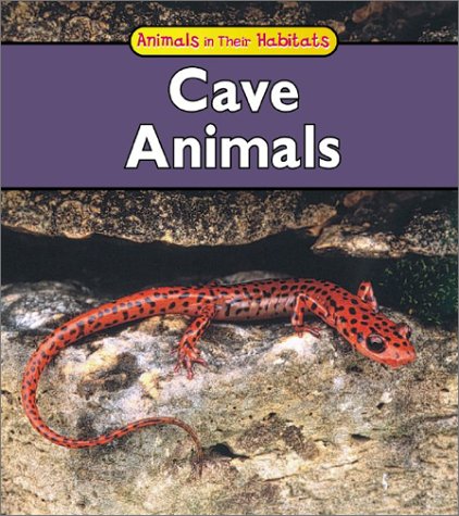 Book cover for Cave Animals