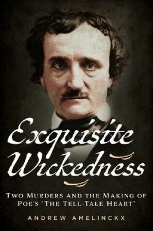 Cover of Exquisite Wickedness