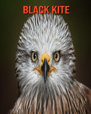 Book cover for Black kite